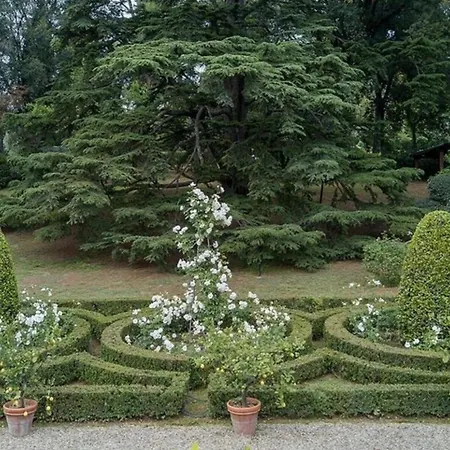 Villa Dante Florens